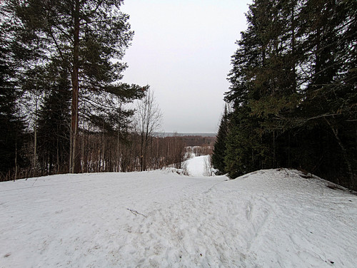 PXL 20230321 4.jpg
