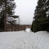 PXL 20230321 4