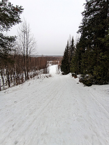 PXL 20230321 5.jpg