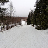 PXL 20230321 5