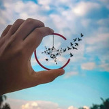 IMG 20230224 WA0004