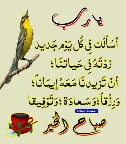 IMG 20230116 WA0000.jpg
