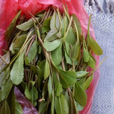 IMG 20230101 WA0001