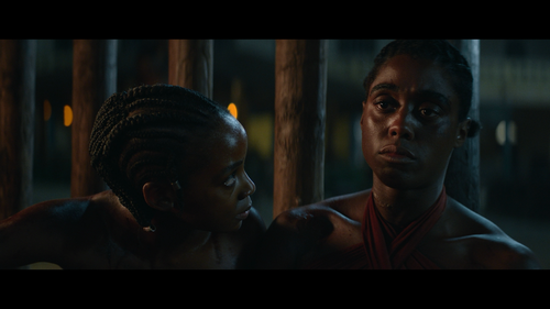 The.Woman.King.2022.BluRay.REMUX.1080p.AVC.DTS HD.MA5.1 HDS.mkv 20230322 205335.299.png