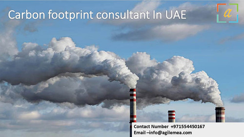 Carbon footprint consultant In UAE. 2 jpg.jpg