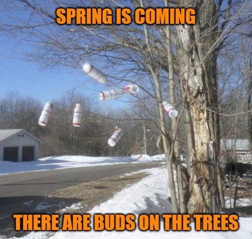 spring buds meme.jpg