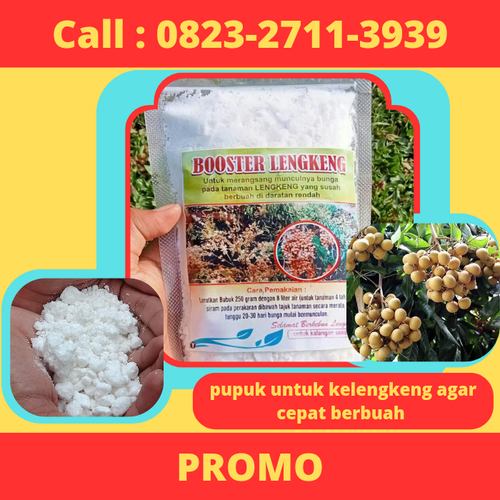 PROMO! CALL 0823-2711-3939 Jual Pupuk Untuk Kelengkeng Agar Cepat Berbuah.png