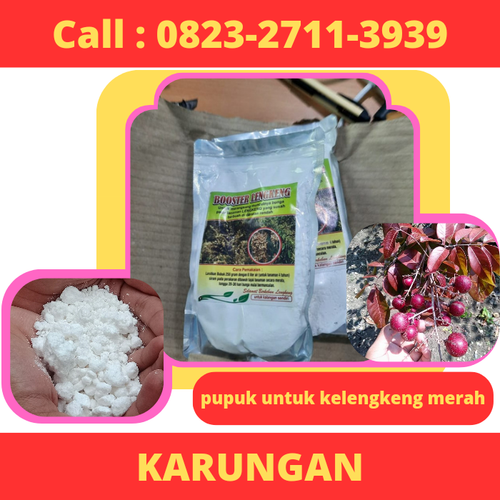 KARUNGAN! CALL 0823-2711-3939 Jual Pupuk Untuk Kelengkeng Merah.png