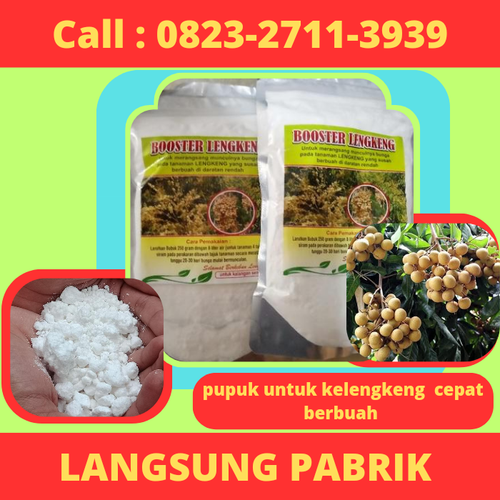 LANGSUNG PABRIK! CALL 0823-2711-3939 Jual Pupuk Untuk Kelengkeng Cepat Berbuah.png
