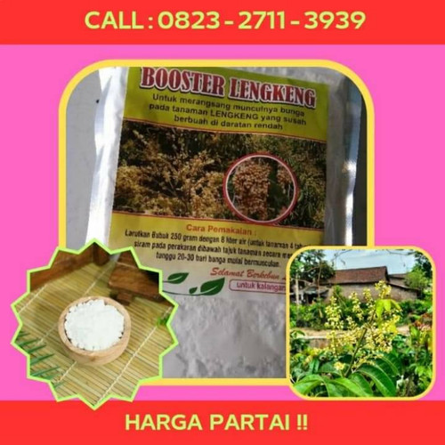 HARGA PARTAI ! CALL 0823-2711-3939 Jual Pupuk Untuk Kelengkeng Yang Sedang Berbunga.jpg