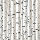 1663014177 1 phonoteka org p tekstura bereza instagram 1