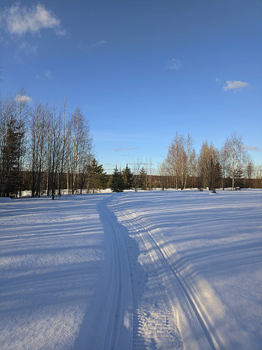 PXL 20230318 1.jpg