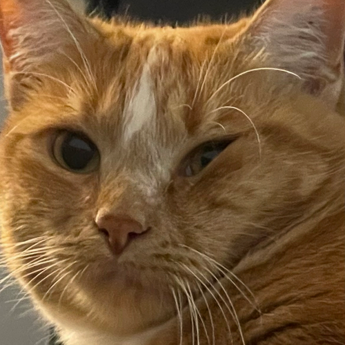 e65563625f38.png