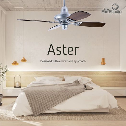 Aster Ceiling Fan The Fan Studio.jpg