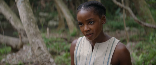 The.Woman.King.2022.BluRay.Pad.1080p.AAC.x265 10bit HDSPad.mp4 20230322 211359.086.png