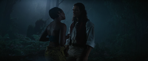 The.Woman.King.2022.BluRay.Pad.1080p.AAC.x265 10bit HDSPad.mp4 20230322 211345.918.png