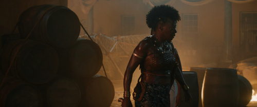 The.Woman.King.2022.BluRay.Pad.1080p.AAC.x265 10bit HDSPad.mp4 20230322 211355.398.png