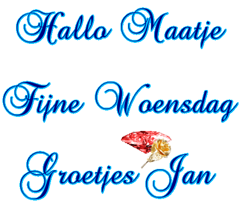 oie overlay (1).gif