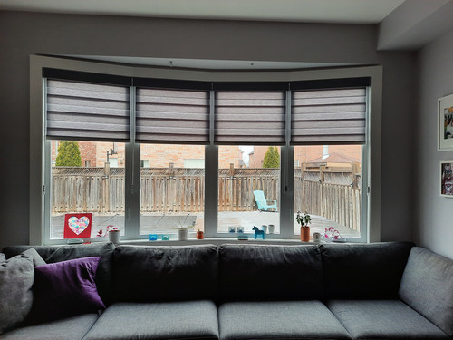 Bow Window Milton Blinds and Shutters Zebra Blinds 2.jpg