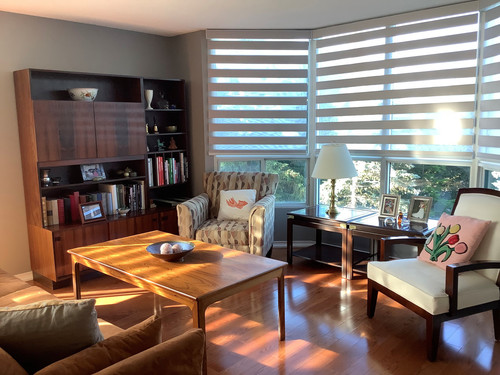 Dual Shades Milton Condo Bay Window Zebra Blinds.jpg