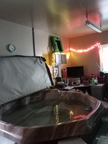 IMG 2023 01 27 17 15 16 988~2.jpg