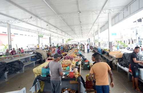 mercado3.png