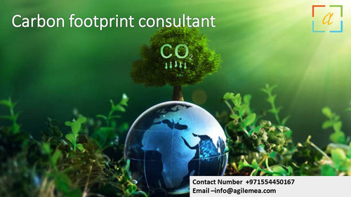 Carbon footprint consultant .12.jpg