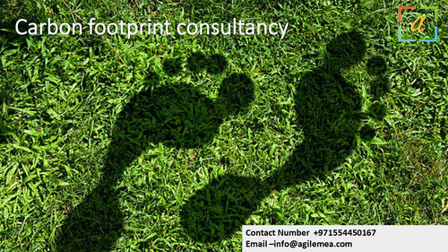 Carbon footprint consultancy .5 jpg.jpg