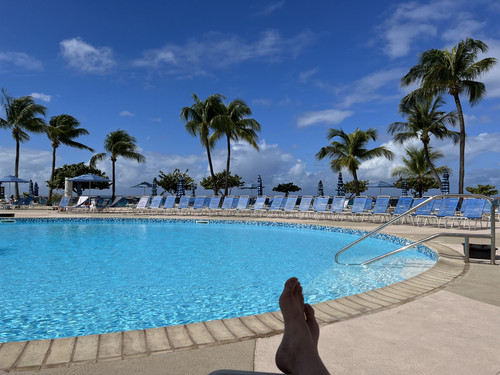 CCE2C9D3 66AD 4B06 8E28 E52D9F0B62A8.jpg