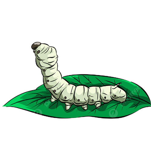 pngtree silkworm worm pupa green worm silk breaking cocoon drawing silk peeling png image 5755844 tr.png