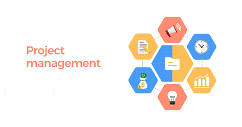 PMP Course in Pune.gif