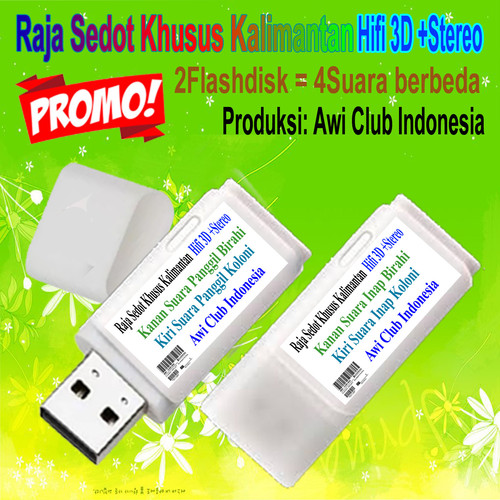2flashdisk.jpg
