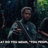 what do you mean you people.gif
