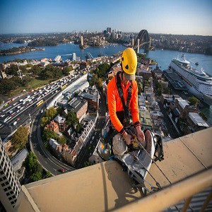 Bird proofing services in Brisbane.jpg