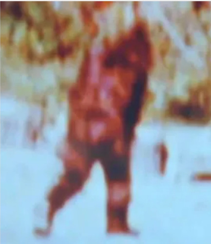 1679470198555.jpg