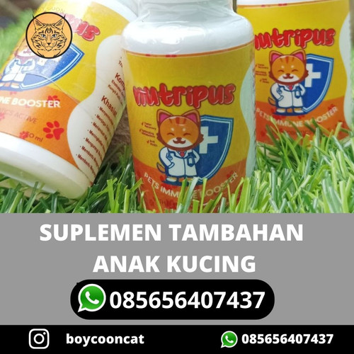 SUPLEMEN TAMBAHAN ANAK KUCING.jpg