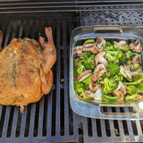 PXL 20230319 205514813