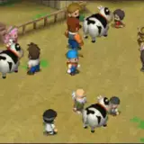 sapi