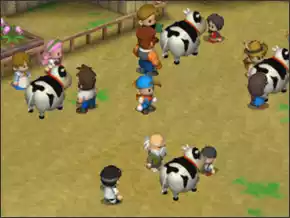 sapi.webp