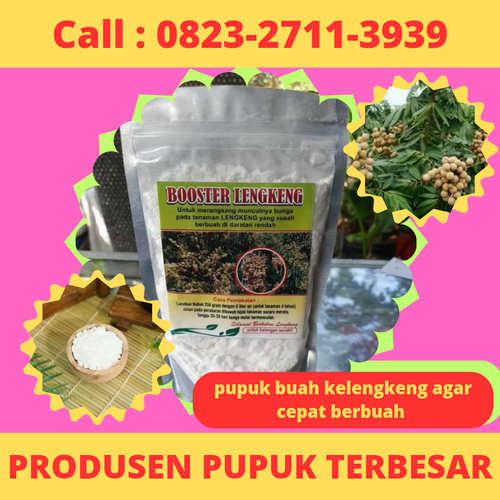 Klik https://wa.me/6282327113939 Pupuk Buah Kelengkeng Agar Cepat Berbuah, Pupuk Cair Untuk Kelengkeng, Pupuk Cair Perangsang Buah Kelengkeng, Pupuk Cair Nasa Untuk Kelengkeng, Pupuk Cair Lengkeng Di Kebumen