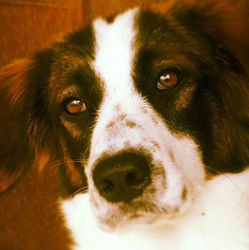 062F589F 8DC9 40DA 809A C17F6FF26C52.jpg