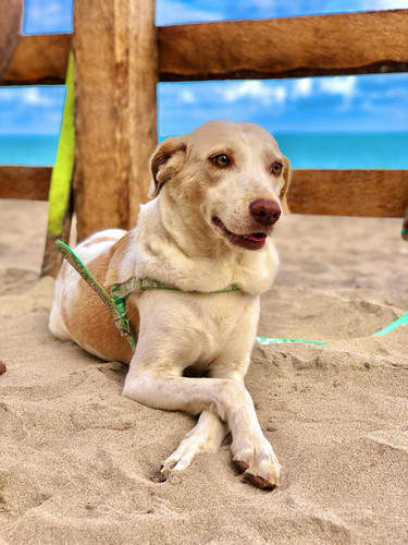 3C75CBB1 8376 4E11 95BB E8F48636BA49.jpg