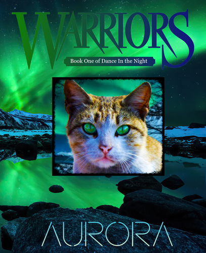 northern lights aurora borealis 4k fz.png