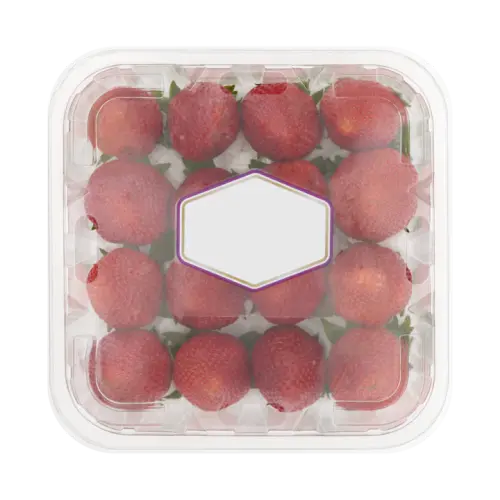 calinda jumbo.webp