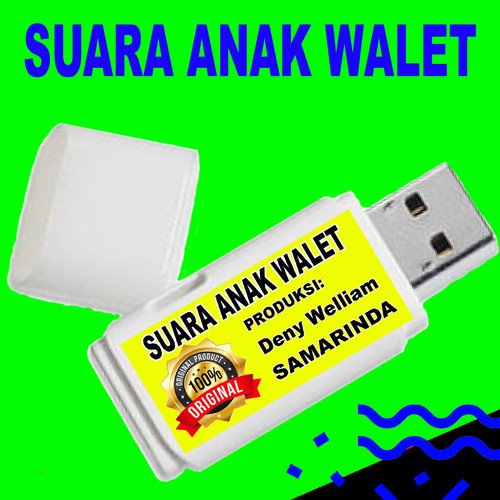 anak walet 1