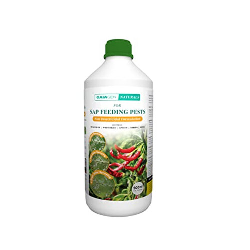 Protect Your Plants with Natural Pesticides | Plantlane.jpg