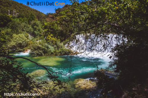 Best Tour and Travel Agency for North Bengal Trip in Kolkata: Chutii Dot Com.jpg