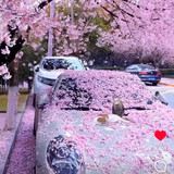 WhatsApp Image 2023 03 22 at 07.49.03.jpg