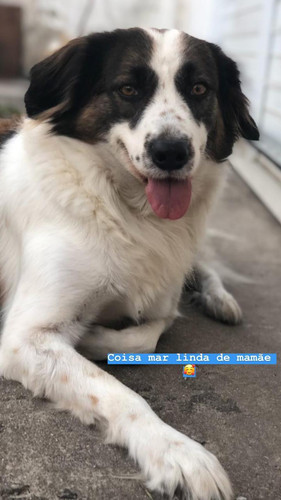 WhatsApp Image 2023 03 19 at 00.39.00.jpg