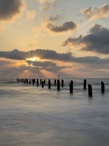 F7164916 5C39 47BB 8249 07ABB7251633.jpg